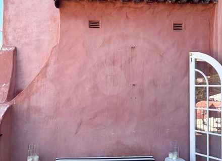 Casa Rosa, Rose Bay-79