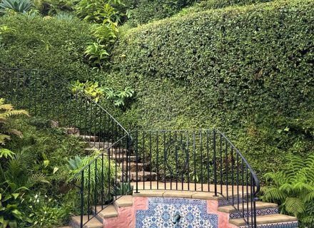 Casa Rosa, Rose Bay-82