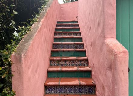 Casa Rosa, Rose Bay-88