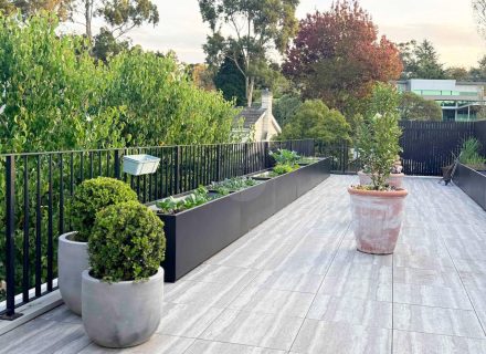 Moonlace House, Wheelers Hill -12