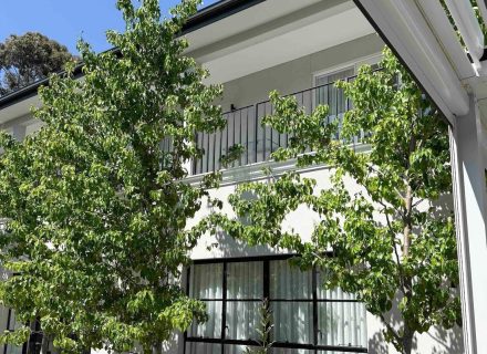 Moonlace House, Wheelers Hill -49