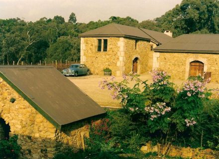 Cellar-Door-Panton-Hill-13.jpg