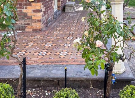 Chameleon, Armadale_22