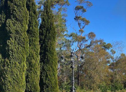 Chateau Blanca, Dural 52