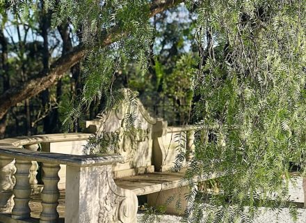 Chateau Blanca, Dural 55