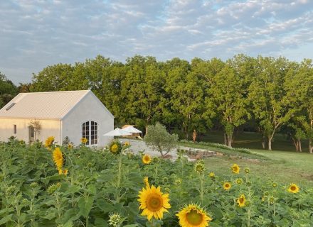 backyard garden established