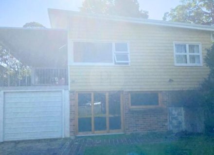 garden established facade backyard