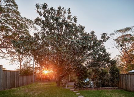 Chestnut Place, Bilgola Plateau 20