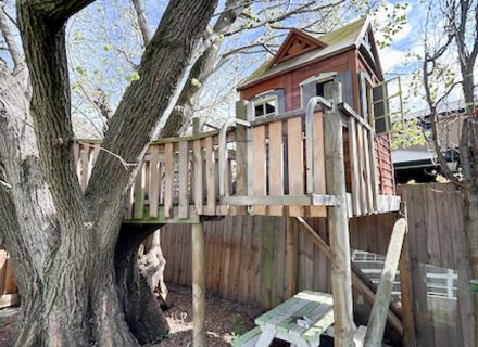 garden established