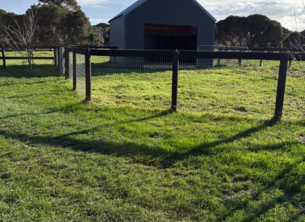 Cinnamon Estate, Flinders-05