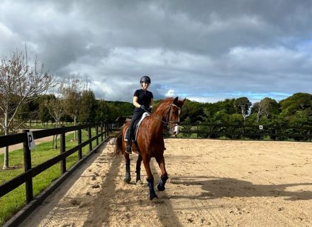 Cinnamon Estate, Flinders-06