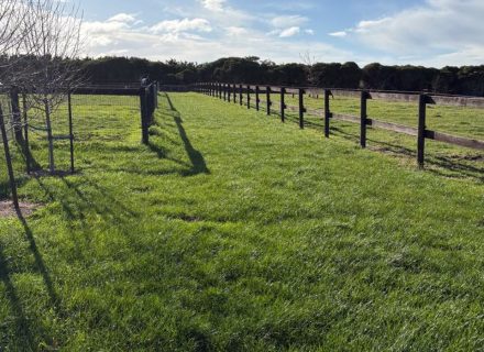 Cinnamon Estate, Flinders-08