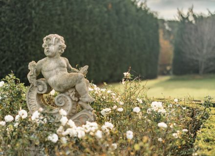 Cinnamon Estate, Flinders-28