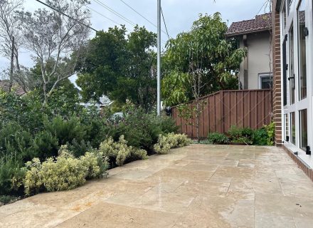 outdoor area garden established pool
