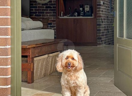 Cinnamon, Marrickville 21