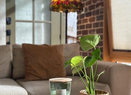 Cinnamon, Marrickville 27