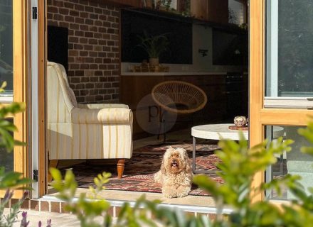 Cinnamon, Marrickville 7