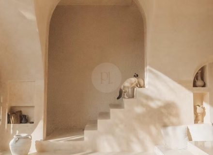 Cinnamon Villa, Munggu 15