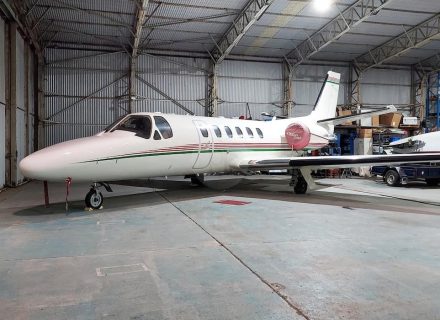 backyard garden established pool