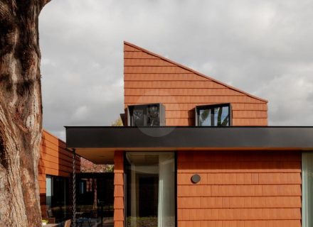 backyard garden established