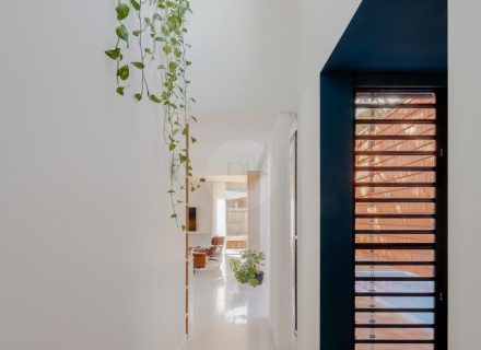 Claystone, Mount Waverley-17