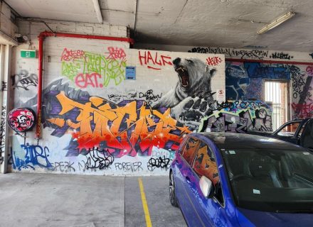 Concrete-Jungle-Fitzroy-13.jpg