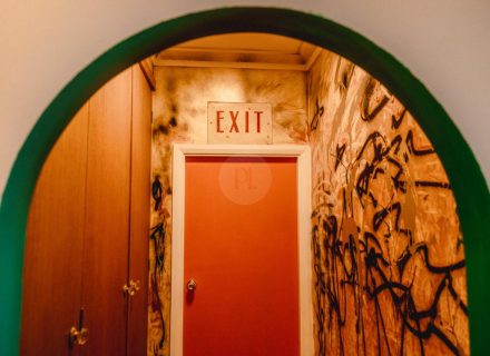 Coral Cactus, Merewether-02