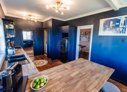 Coral Cactus, Merewether-09