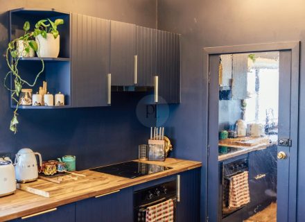 Coral Cactus, Merewether-11