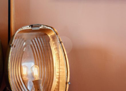 Coral Cactus, Merewether-13