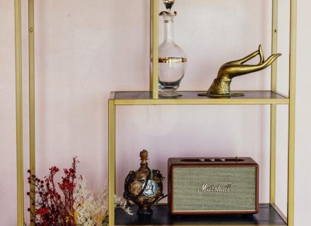 Coral Cactus, Merewether-17