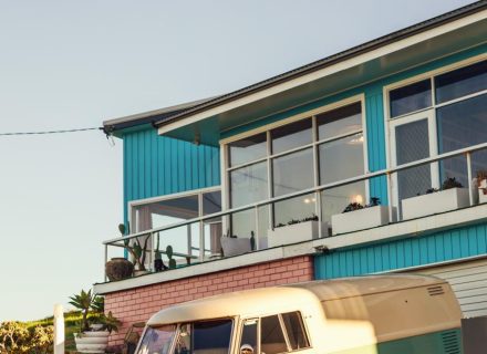 Coral Cactus, Merewether-25