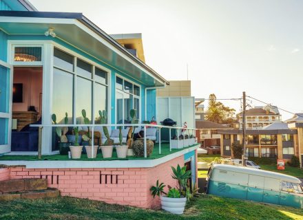 backyard garden established