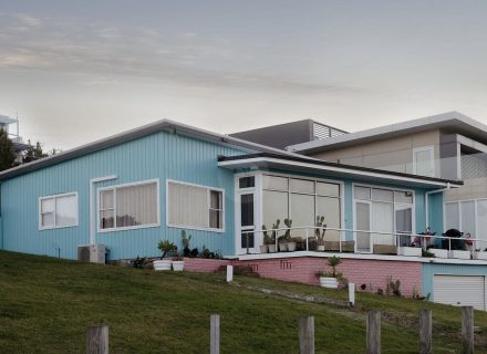 Coral Cactus, Merewether-30