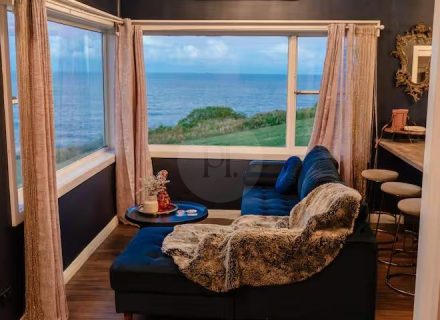 Coral Cactus, Merewether-32