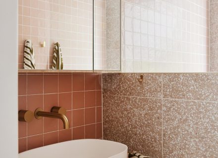 Coral Vine, Clovelly 14