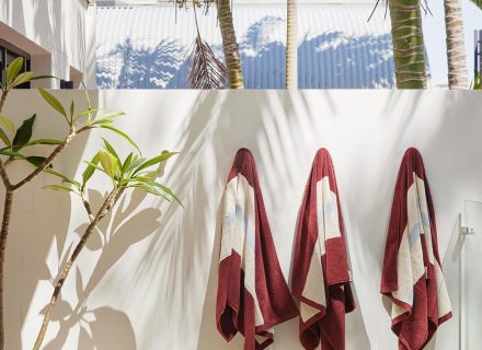 Coral Vine, Clovelly 2