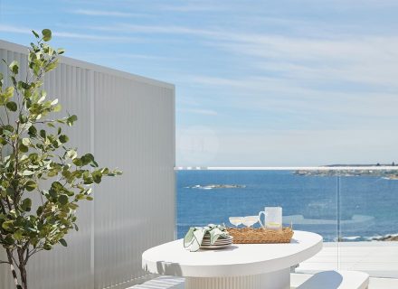 Coral Vine, Clovelly 4