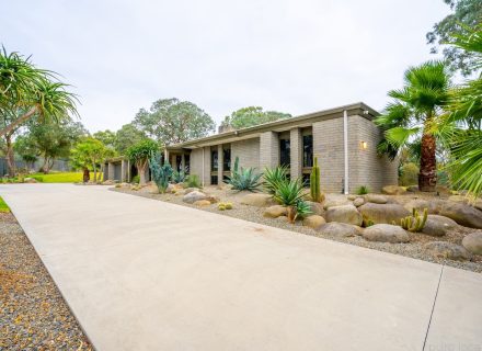 Cosmic Desert, Warrandyte 17