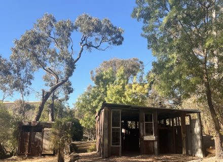 Crossword, Fryerstown_16