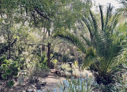 garden established