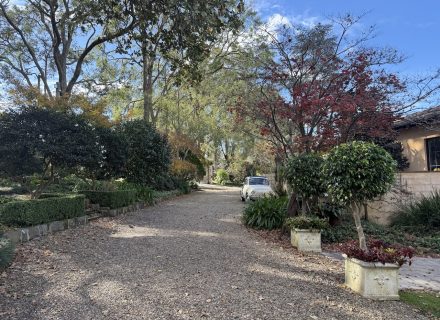 DRIVEWAY 1