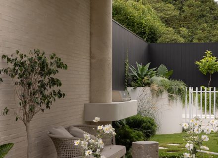 outdoor area backyard garden established