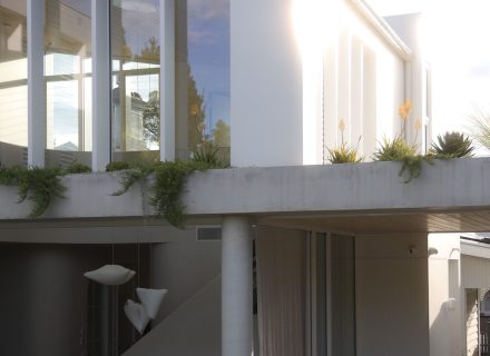 Dalla Luce, Elsternwick-2