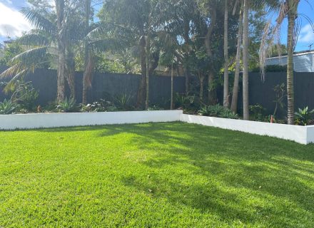 backyard garden established