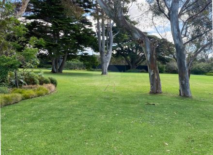 garden established