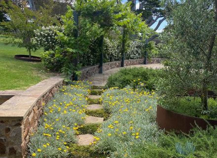 Detour, Dromana-19