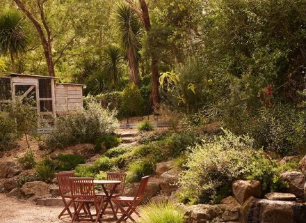 backyard garden established