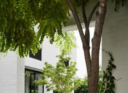Double Scoop, Toorak 13