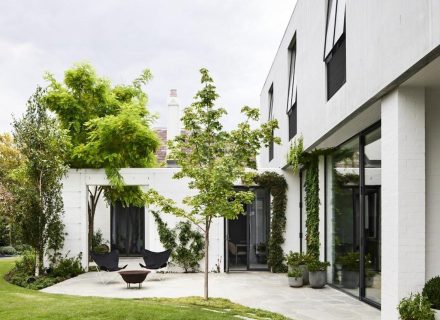 outdoor area garden established